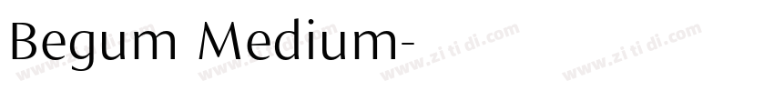 Begum Medium字体转换